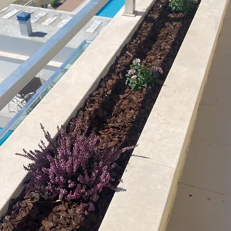 Alojamento de Acomodação e Pequeno-almoço Wellnesshouse